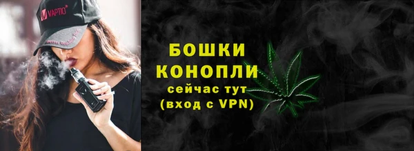 молекула духа Елабуга