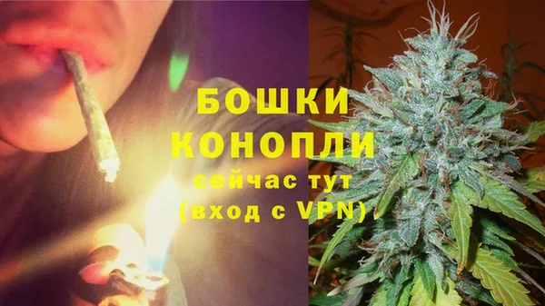 спайс Белокуриха