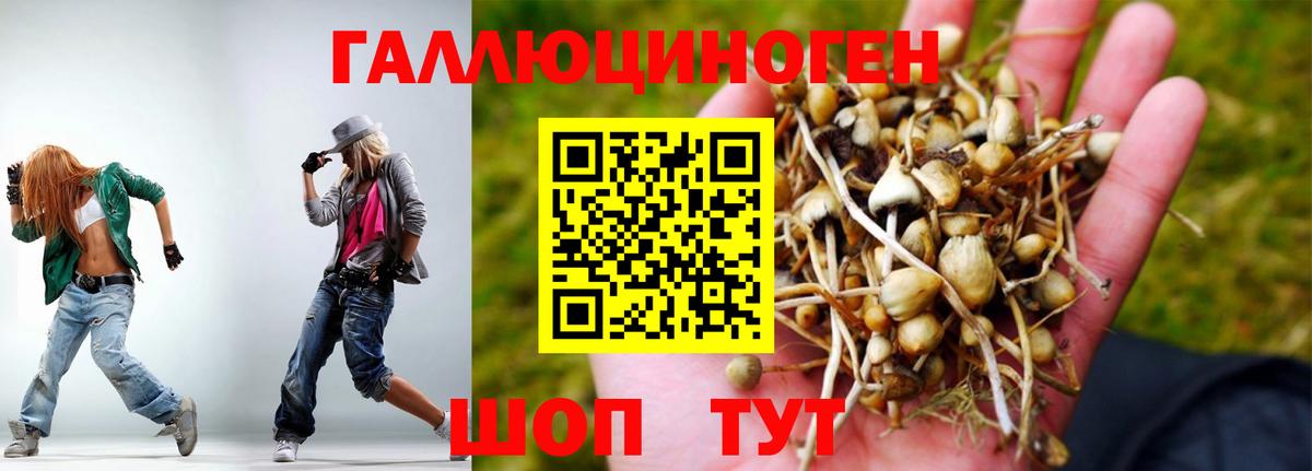Псилоцибиновые грибы прущие грибы  Вход с VPN  Печора 